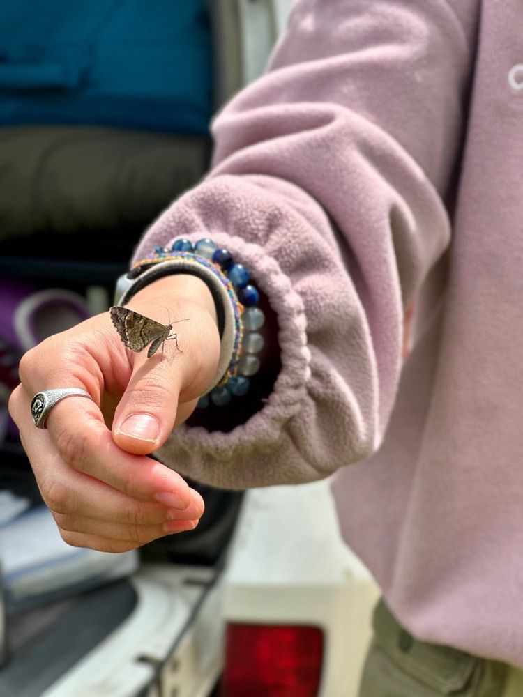 Photograph by Svetlana Kovalchuk