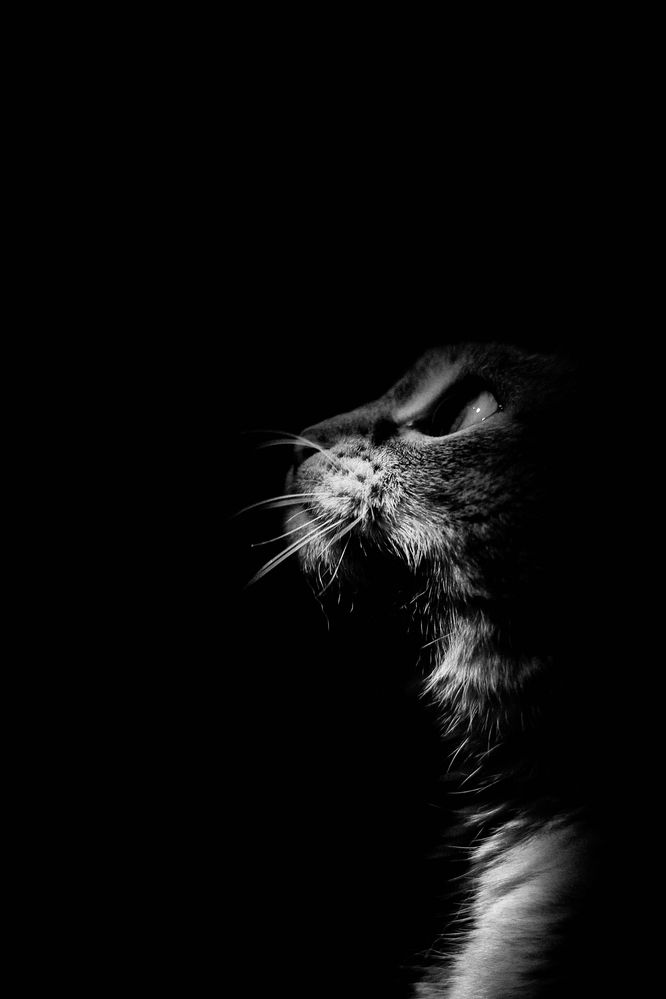 Photograph by Любовь Иванова