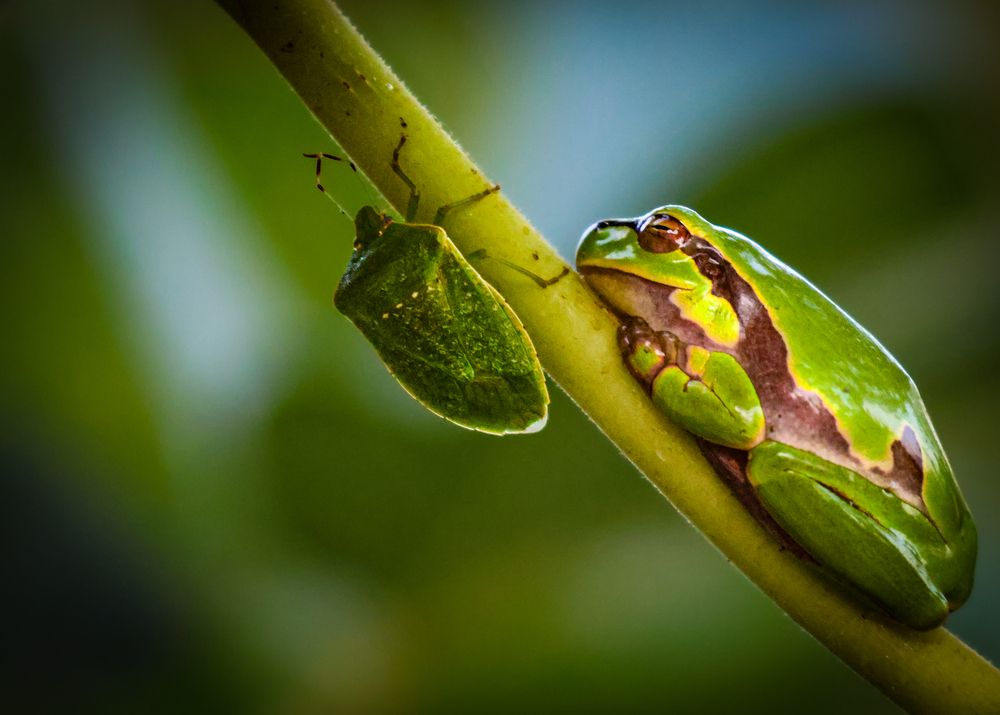 Photograph by Eva Wiedemann