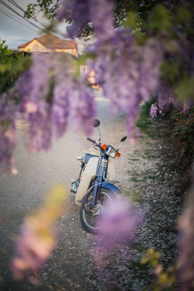 Photograph by Филипп Бабенко