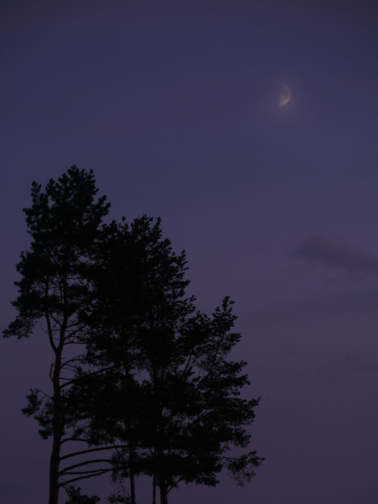 Фотография автора Врубель Андрей