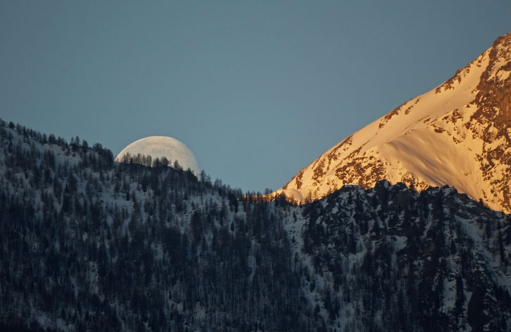 Photograph by Svetlana Rizzo