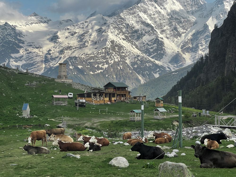 Photograph by Ольга Быкова