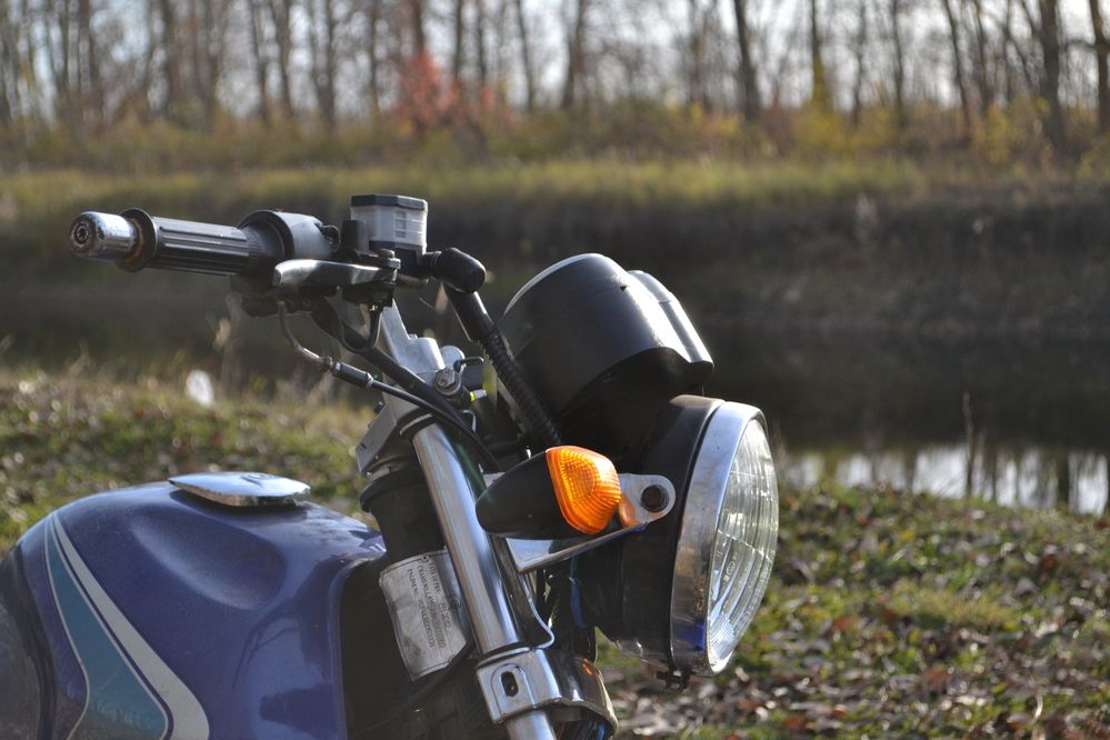 Photograph by Николай Дмитриев