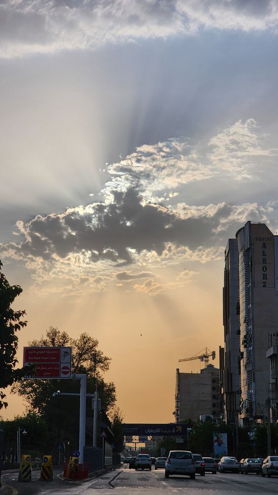 Photograph by Mina Mamdouhi