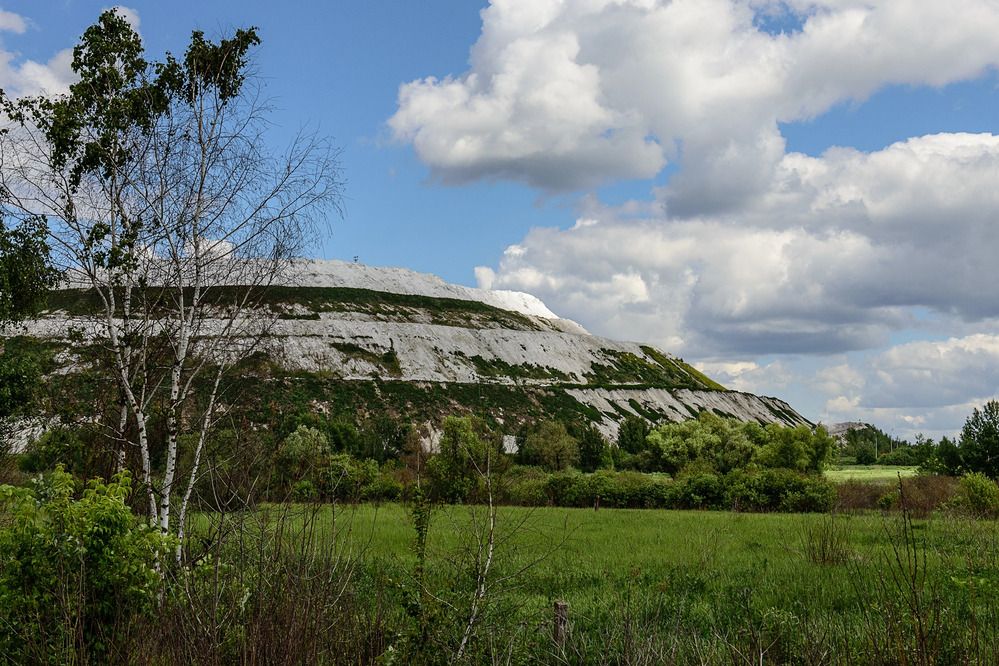 Фотография автора Николай Гришин