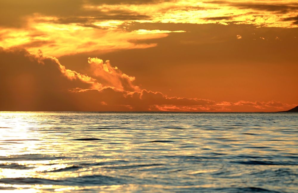 Photograph by Лариса Ким