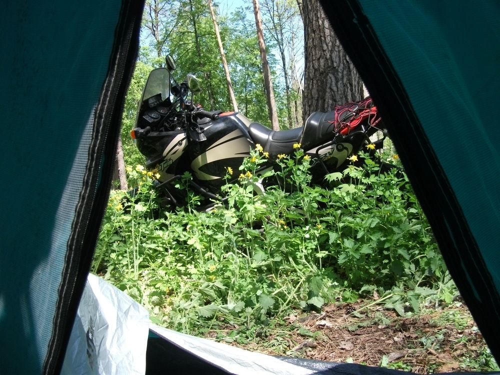 Photograph by Николай Дмитриев