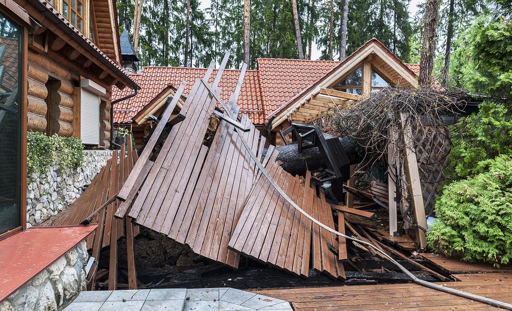 Photograph by Ольга Дядченко