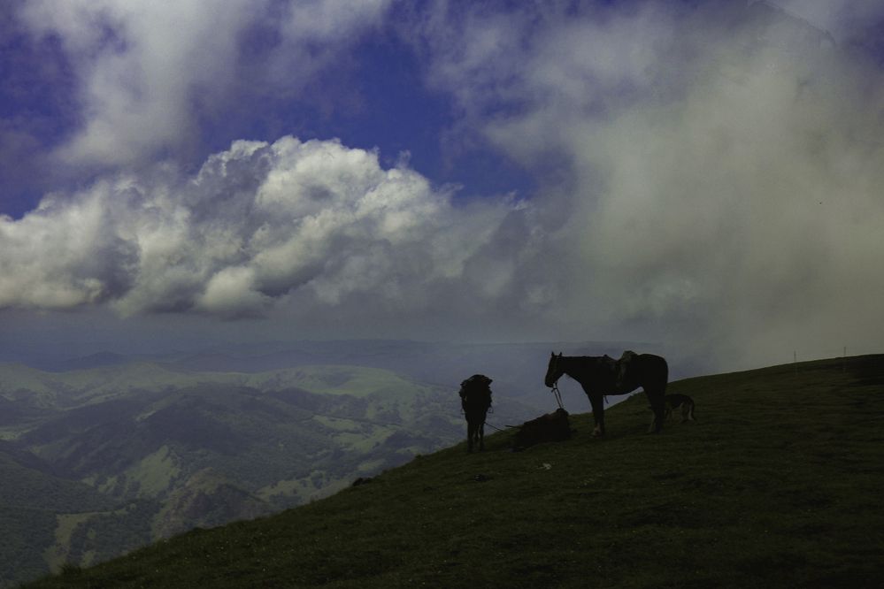 Photograph by Ольга Быкова