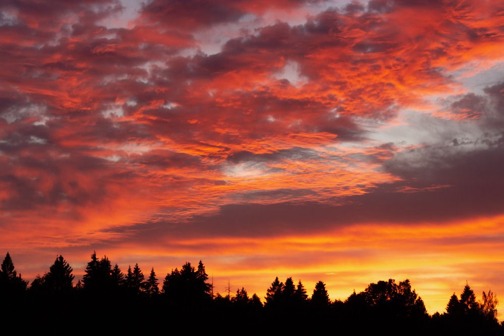 Фотография автора Александр Довганюк