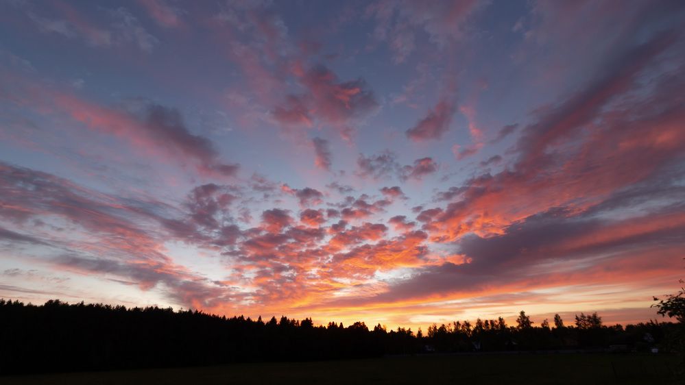 Фотография автора Александр Довганюк