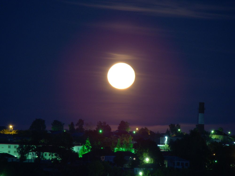 Photograph by Николай Дмитриев