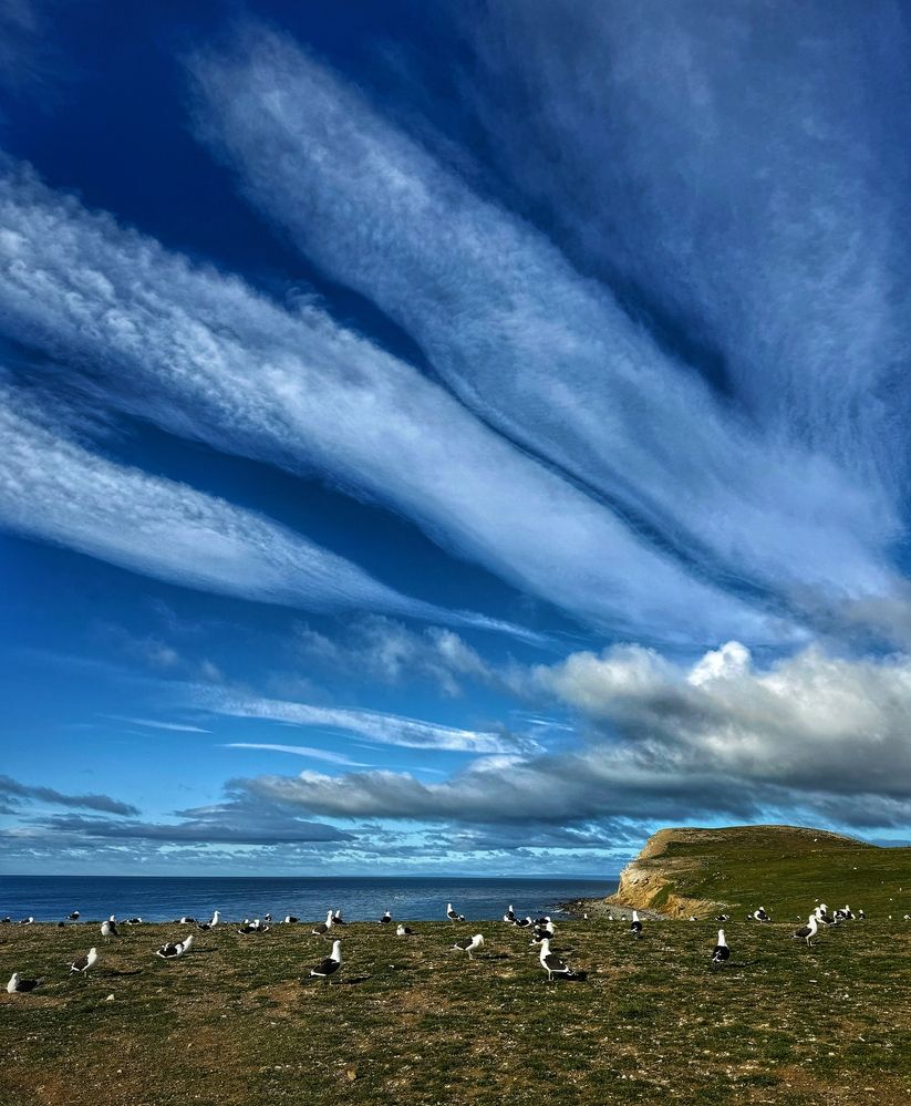 Photograph by Юлия Порфирьева