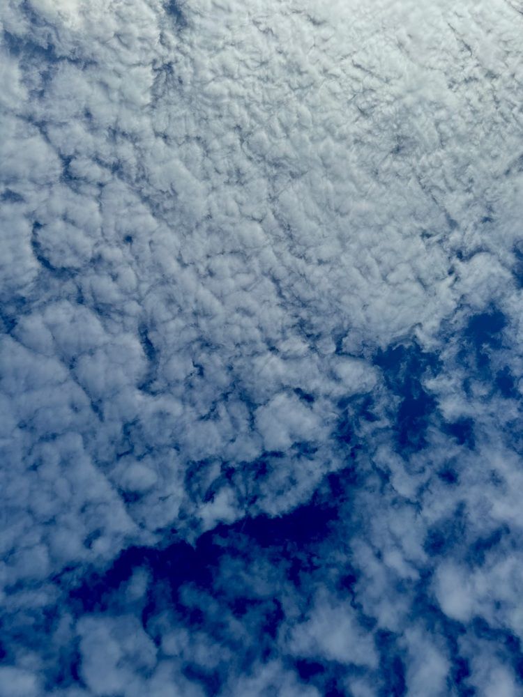 Photograph by Олеся Кузьмичева