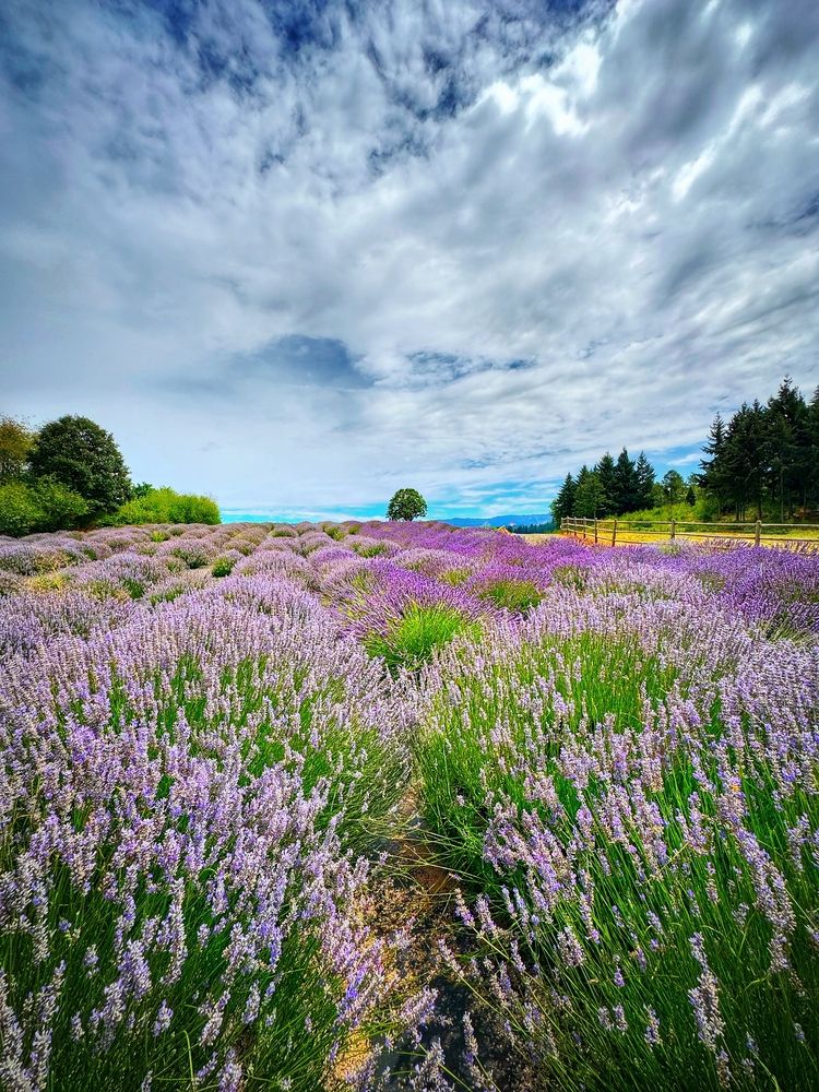 Photograph by Юлия Порфирьева