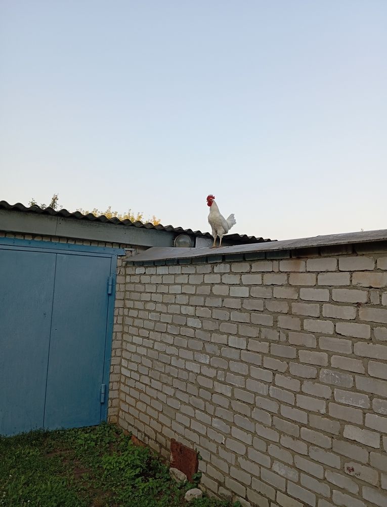 Photograph by Елена Коробченко