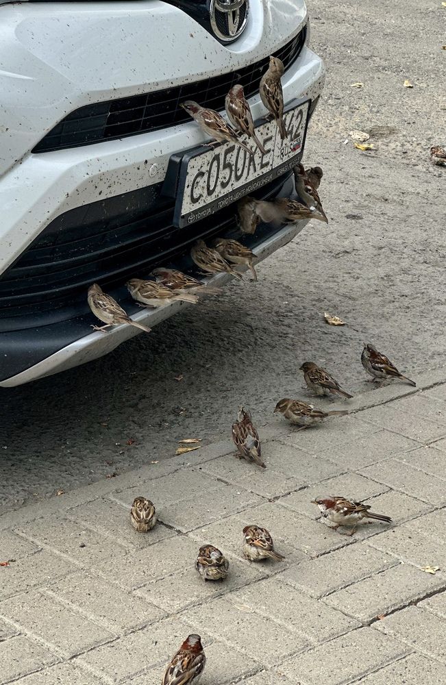 Photograph by Svetlana Kovalchuk