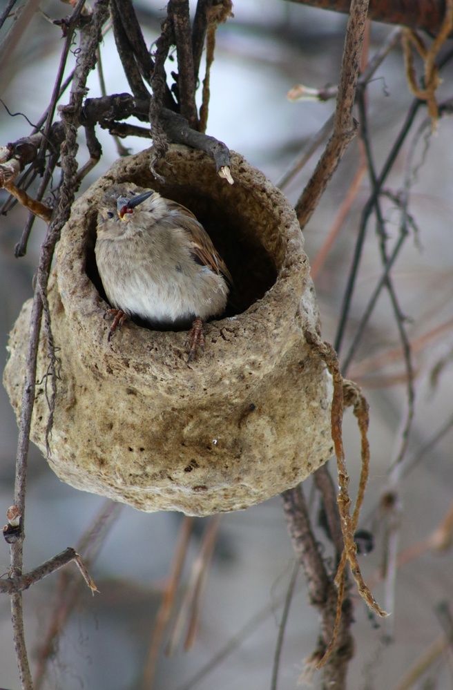 Photograph by Светлана Шуткова