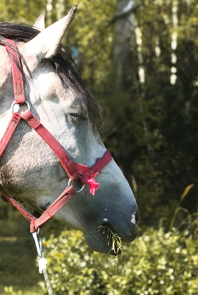 Photograph by Марина Опарина