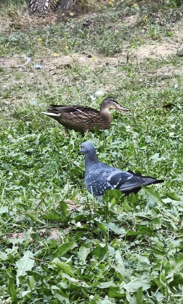 Photograph by Марина Опарина