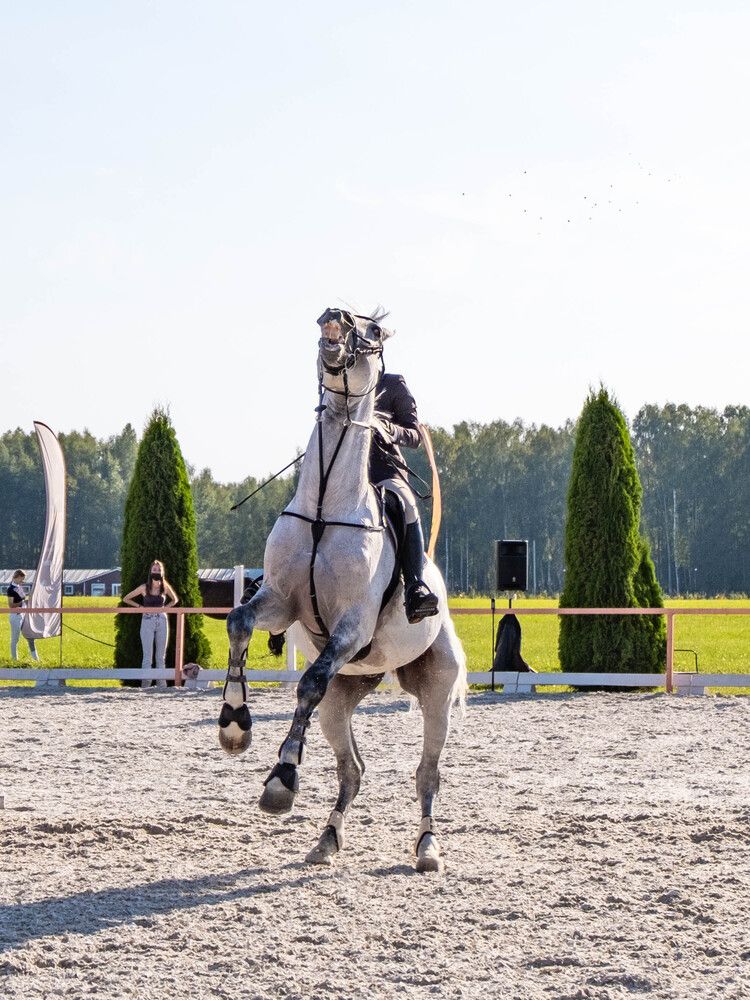 Photograph by Алиса