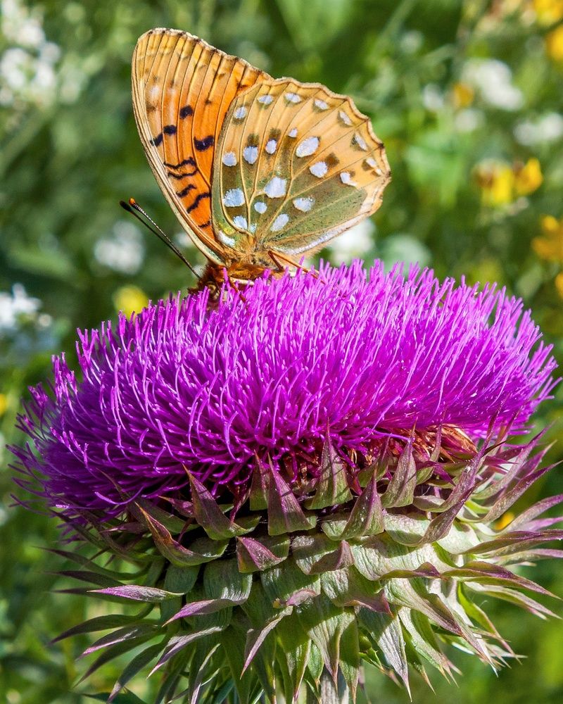 Photograph by Валерий Федяров