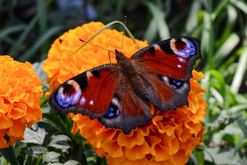 Photograph by Валерий Федяров