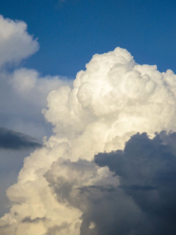 Photograph by Дарья Овсянникова