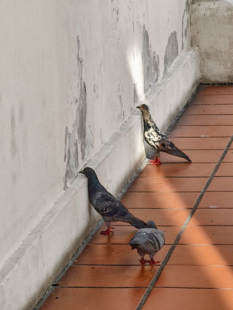 Фотография автора robot