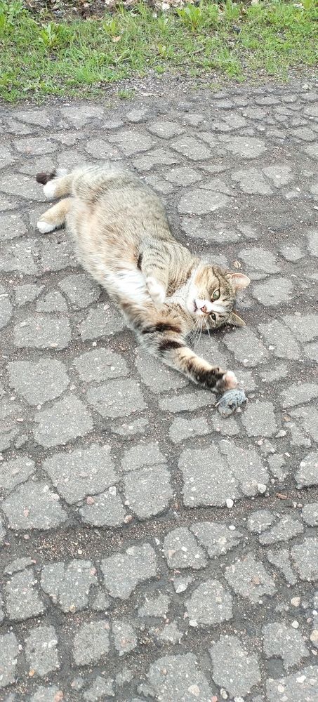 Photograph by Ирина Корнева