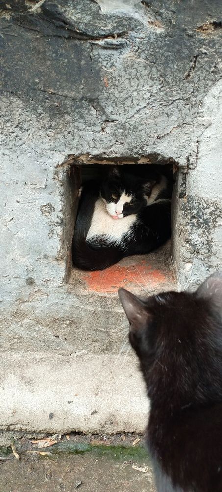 Photograph by Ирина Корнева