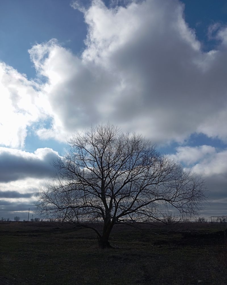 Photograph by Елена Коробченко