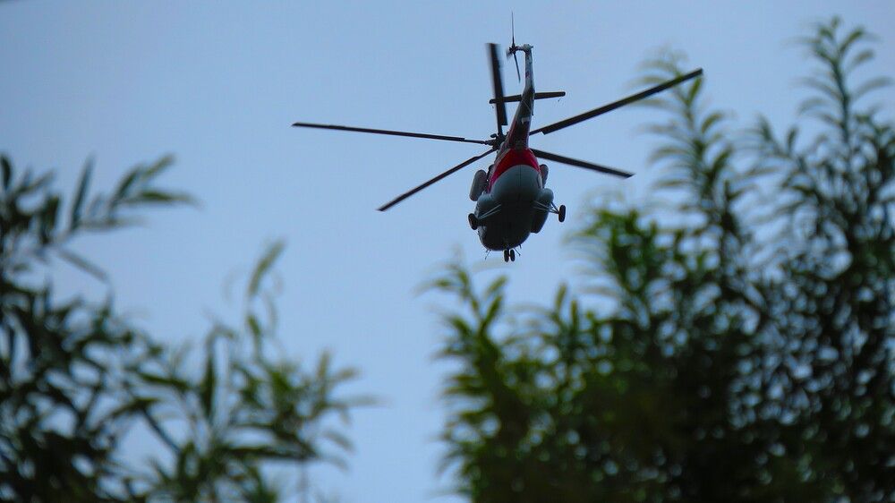 Камчатская стрекоза