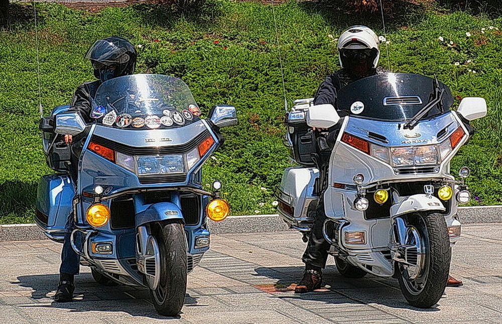 Фотография автора АЛЕКСАНДР ЦЫГЕЛЬНЮК