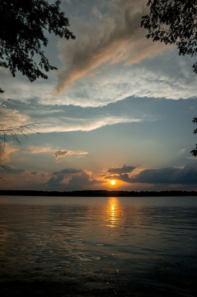 Photograph by Светлана Филипеня