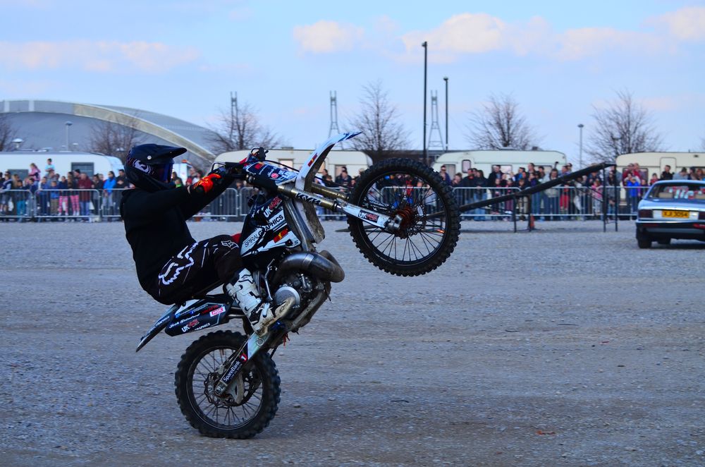 Фотография автора ZILL NIAZI