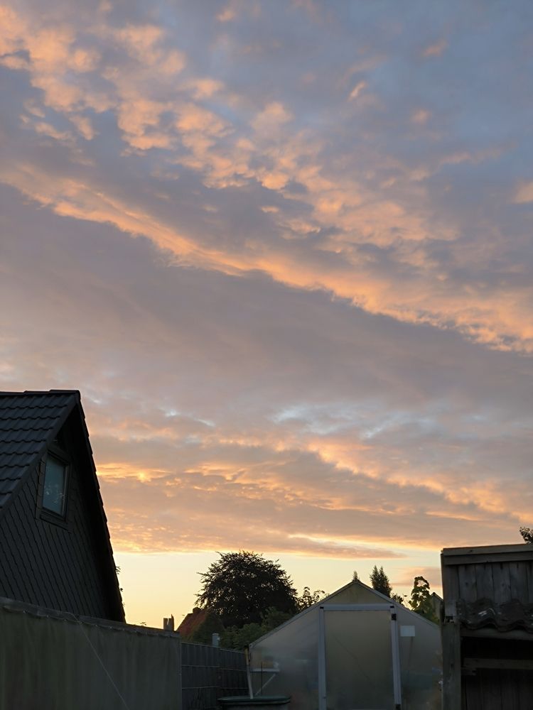 Photograph by Елена Симонова