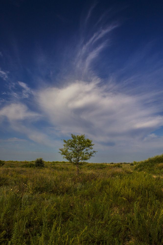 Photograph by Вячеслав Булатов