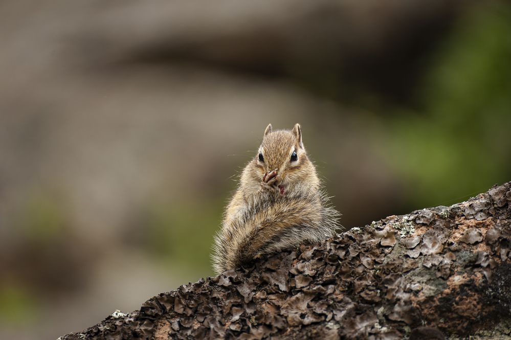 Photograph by Вадим Басов