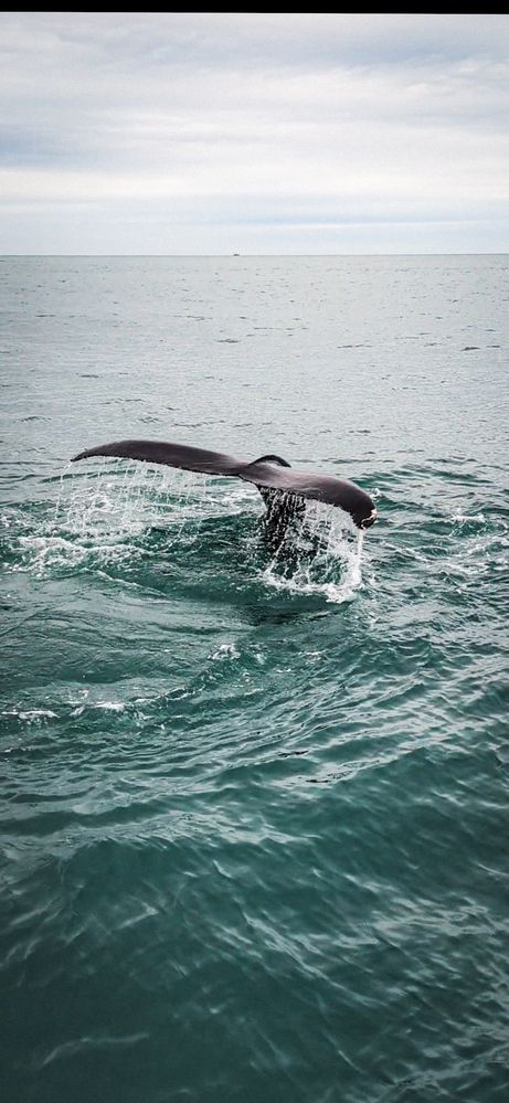 Photograph by Ирина Usanova