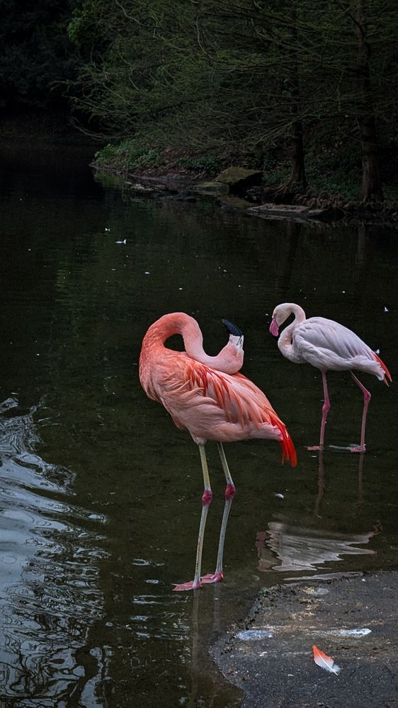 Photograph by Ирина Usanova