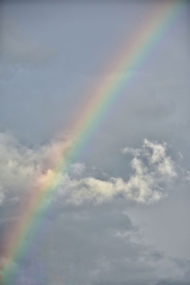 Photograph by Татьяна Абабкова