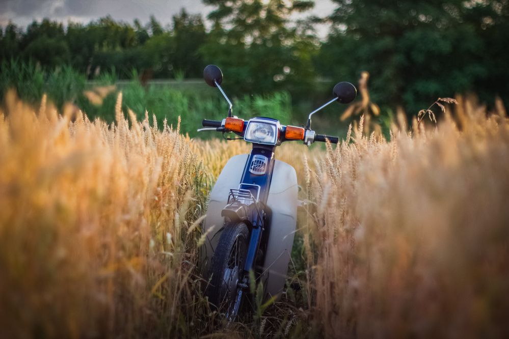 Photograph by Филипп Бабенко