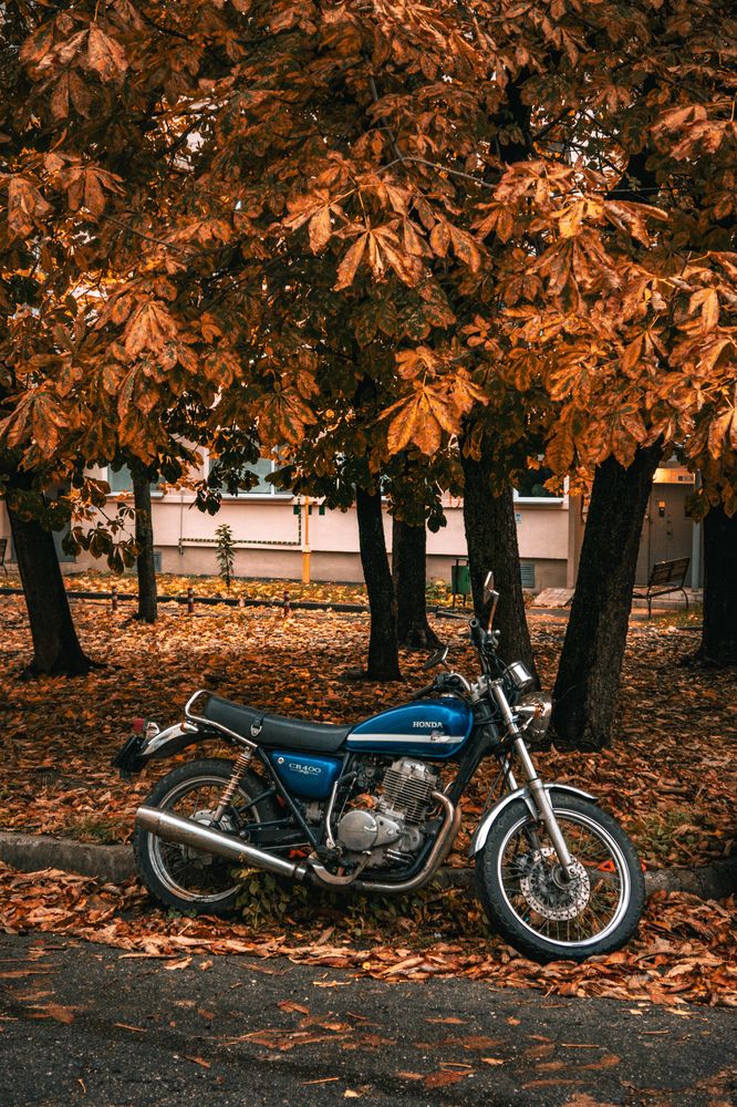 Фотография автора Геннадий Ломеко