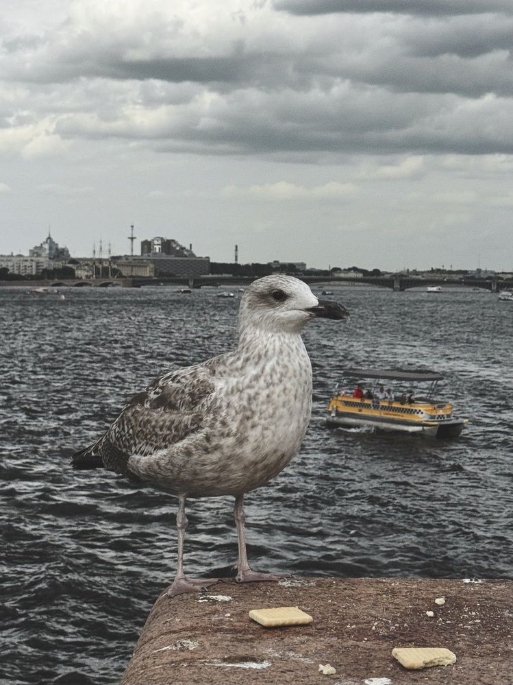 Photograph by Tina Baks