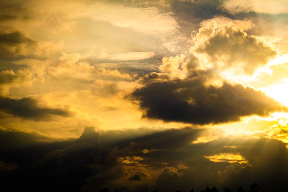 Photograph by ryuichi