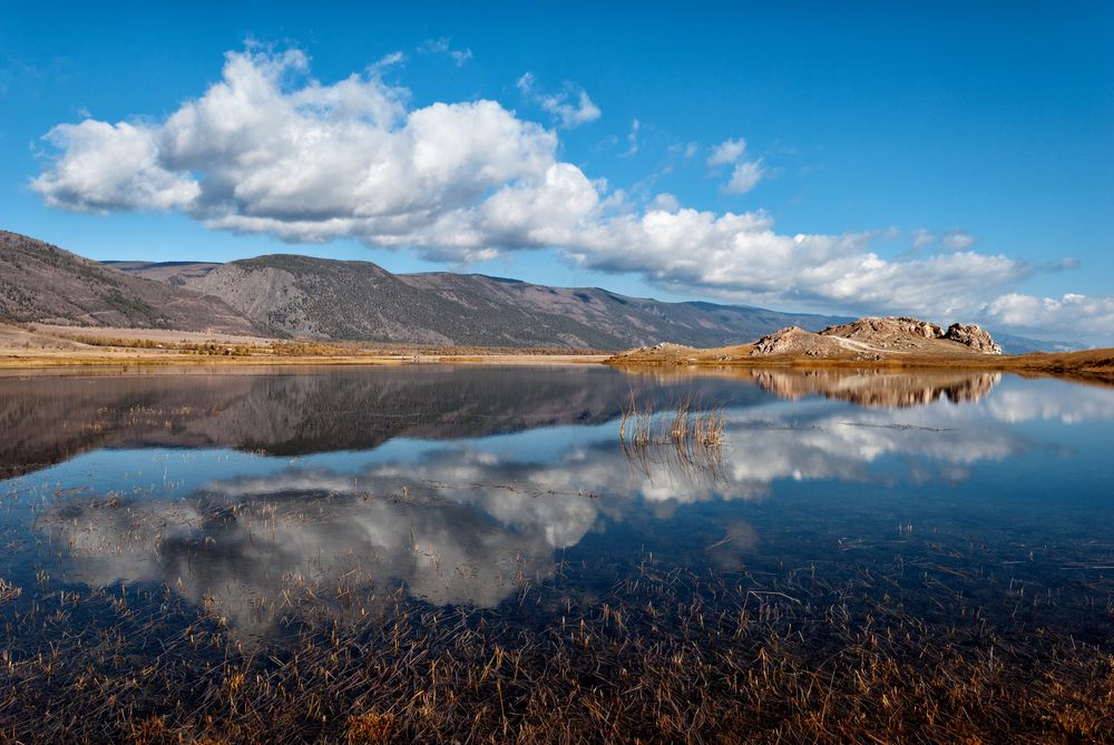 Фотография автора Наталья Решетник