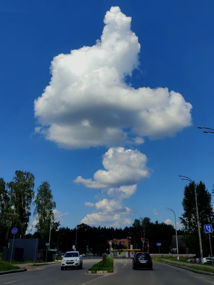 Photograph by Marina Podlesnaya