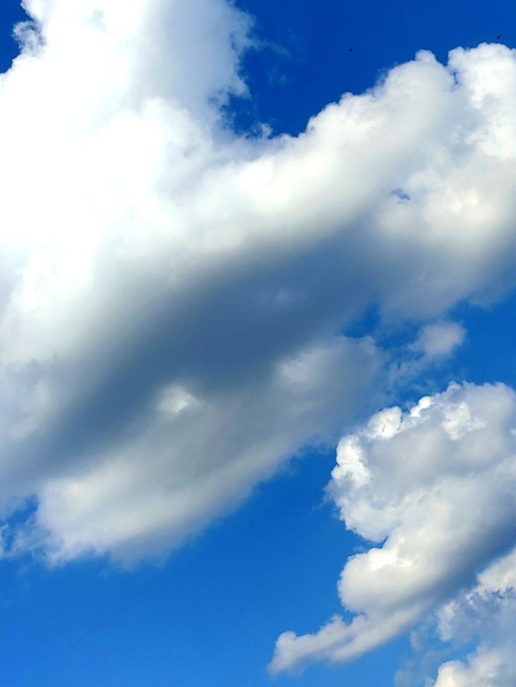 Photograph by Marina Podlesnaya